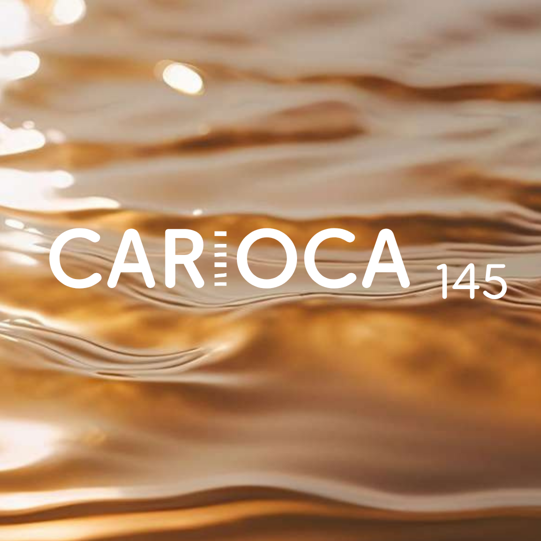 Logos Reginas Consultoria Imoveis